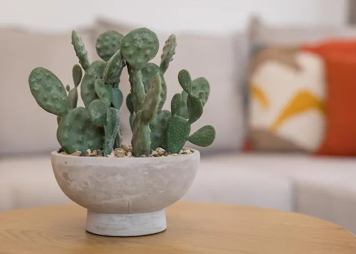 Home2book Duna Sunset Apartment, Pool & Terrace 公寓 科拉雷侯