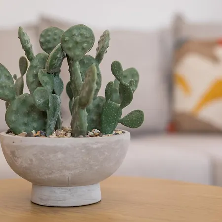 Home2book Duna Sunset Apartment, Pool & Terrace شقة كوراليهو